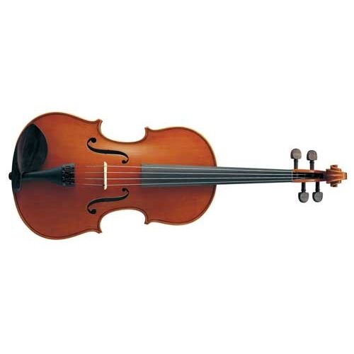 VA5S VIOLA - Image 1