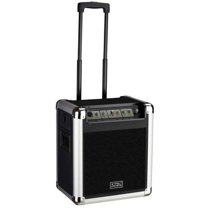 Soundking PA10W Portable PA System - Image 1
